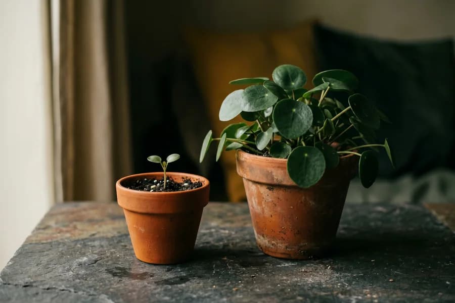 Leading vs Lagging Indicators of a Good Life
